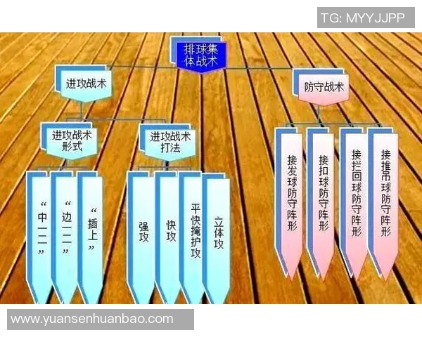 上海排球队战术解析：构建高效控制体系的关键策略与实践