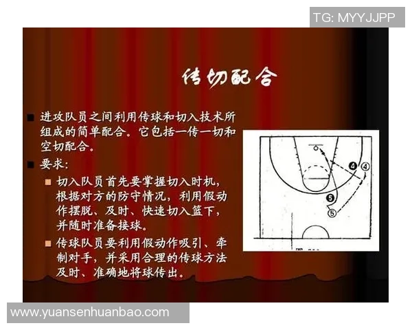 上海篮球队区域防守体系的战术解析与实战应用探讨